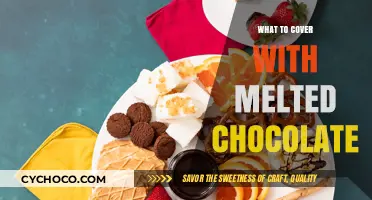 Sweet Indulgence: Creative Ideas for Dipping in Melted Chocolate