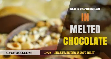 Tempering Tales: Mastering the Art of Chocolate-Dipped Nuts