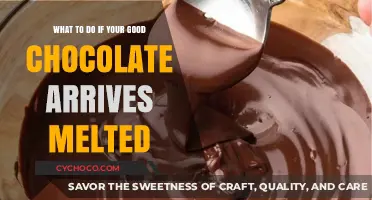 Rescue Your Melted Chocolate: Tips and Tricks for Chocolate Lovers