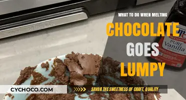 Smooth Out the Bumps: A Guide to Fixing Lumpy Melted Chocolate
