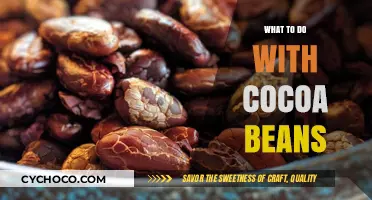 Creative Ways to Use Cocoa Beans in Your Kitchen and Beyond