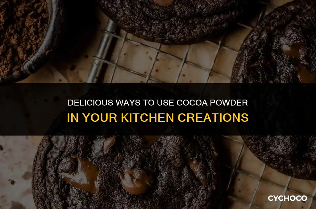 what to do with cocoa powder