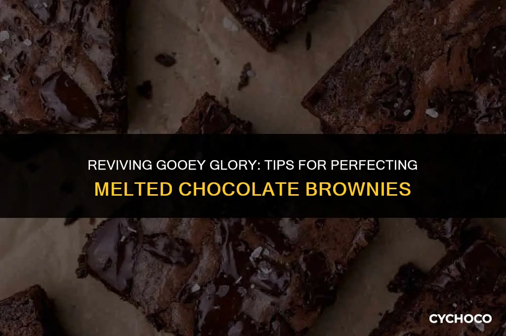 what to do with melted chocolate bar brownies