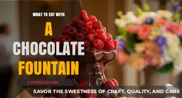 Delicious Dipping Ideas: Perfect Pairings for Your Chocolate Fountain