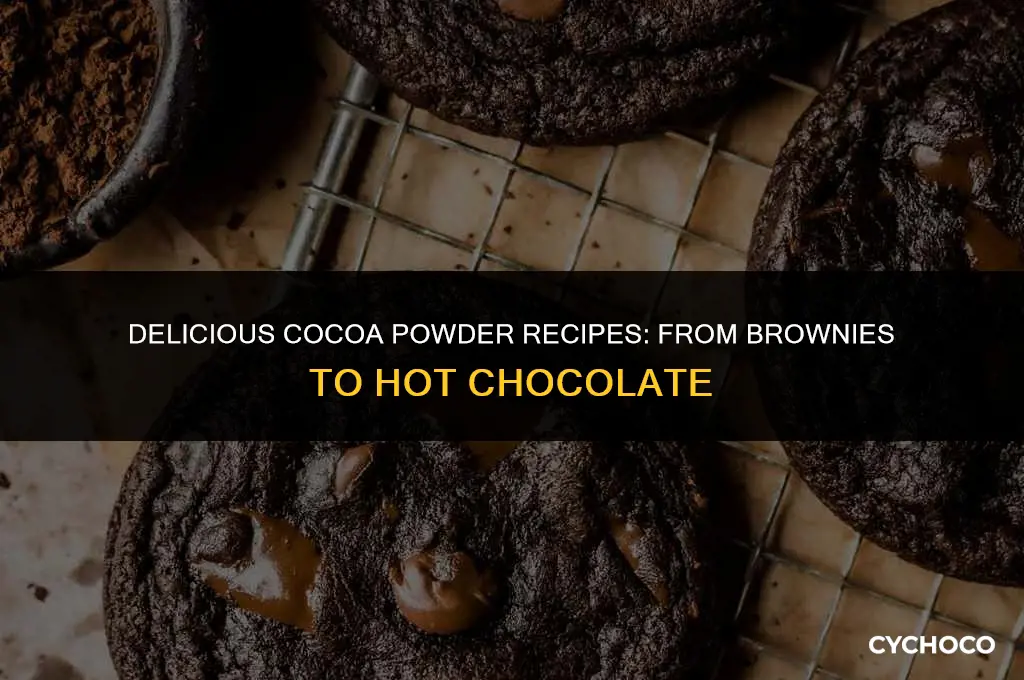 what to make with cocoa powder