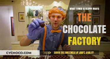 Blippi's Chocolate Adventure: Exploring the Sweetest Town on Earth
