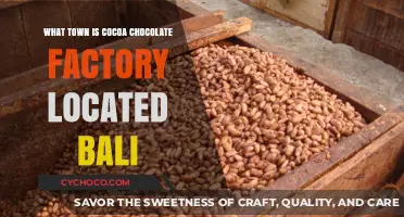 Discovering Bali's Sweet Secret: The Cocoa Chocolate Factory Town