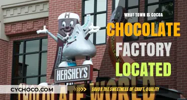 Discovering the Sweet Hometown of the Cocoa Chocolate Factory