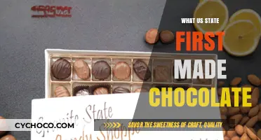 Sweet Beginnings: The First U.S. State to Embrace Chocolate