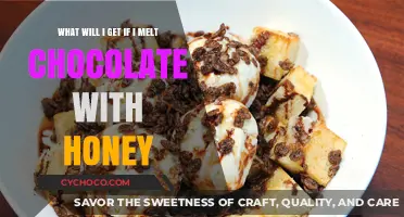 Sweet Alchemy: Unveiling the Magic of Chocolate and Honey Fusion