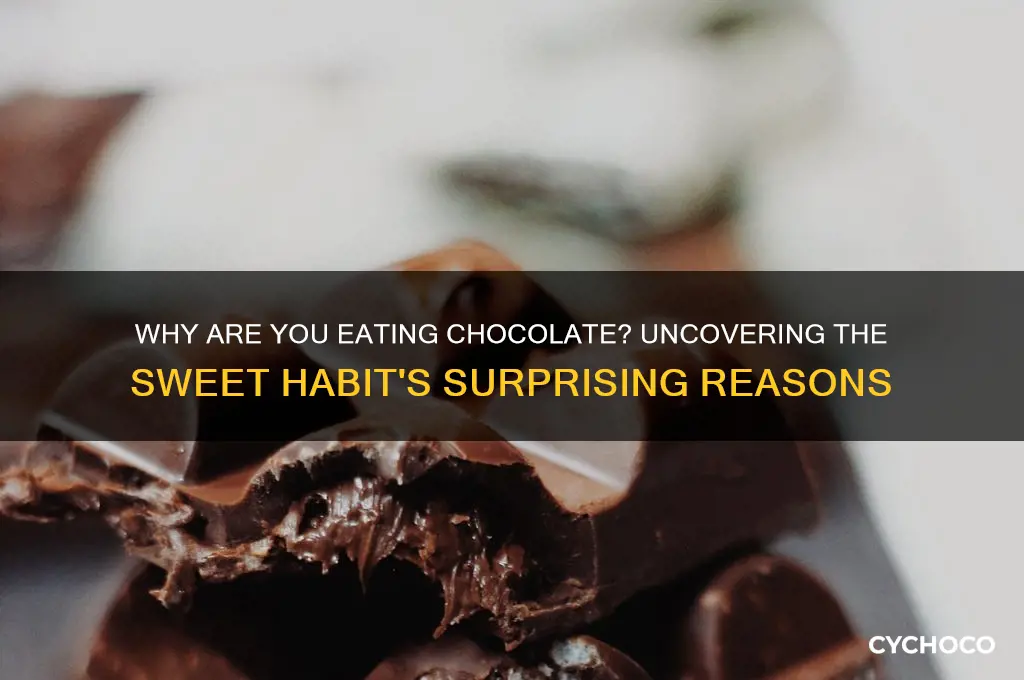 what you doing eating chocolate