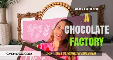 Sweet Success: Crafting a Catchy Name for Your Chocolate Factory