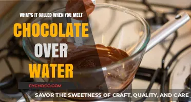 The Art of Chocolate Melting: A Guide to Double Boiler Magic