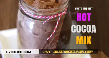 Sipping on Perfection: The Ultimate Guide to Hot Cocoa Mixes