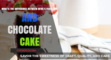 Decoding the Delicious: Devil's Food vs. Chocolate Cake