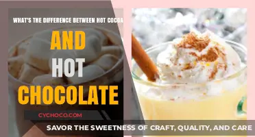 Sipping on Comfort: Hot Cocoa vs. Hot Chocolate Explained