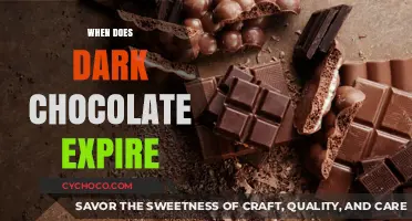 Decoding the Shelf Life of Dark Chocolate: A Connoisseur's Guide