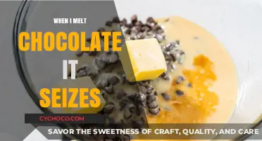 Conquering Chocolate Seizures: A Guide to Smooth Melting