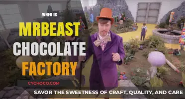 Unwrapping the Mystery: When Will MrBeast's Chocolate Factory Launch?