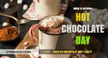 Savor the Warmth: National Hot Chocolate Day Celebrations