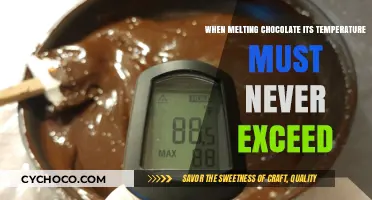 The Art of Chocolate: Mastering the Perfect Melting Temperature