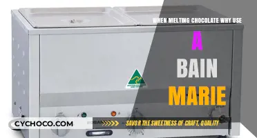 Mastering the Art of Melting Chocolate: The Bain Marie Advantage