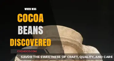 Unveiling the Ancient Origins of Cocoa Beans: A Historical Journey