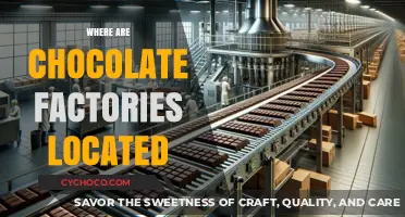 Exploring the Global Map of Chocolate Factories: A Sweet Journey