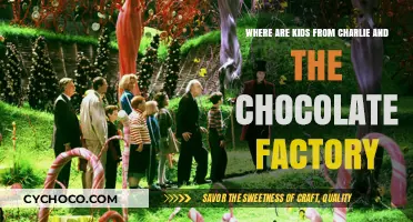 Unveiling the Sweet Truth: Where Are the Charlie and the Chocolate Factory Kids Now?