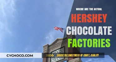 Unveiling the Sweet Secrets: A Journey to Hershey's Chocolate Factories