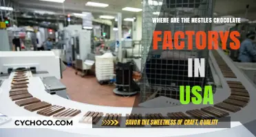 Exploring the Sweet Spots: Nestle's Chocolate Factories in the USA