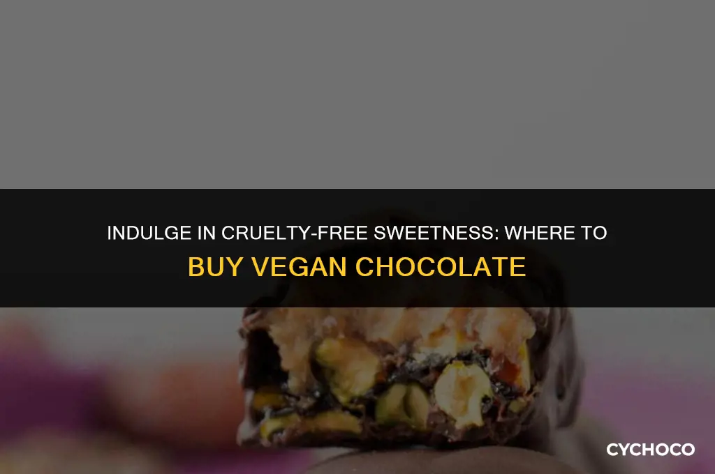 where buy vegan chocolate