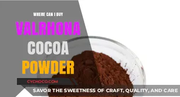 Where to Buy Valrhona Cocoa Powder: Top Retailers and Online Stores