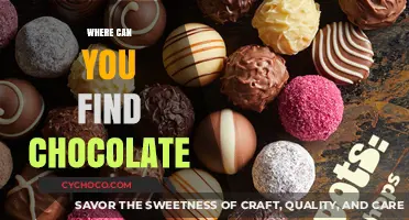 Sweet Spots: Unveiling the Best Places to Find Chocolate