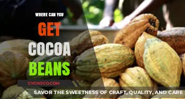 Discover the Best Sources to Find Quality Cocoa Beans Globally