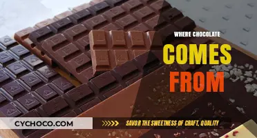 From Bean to Bar: Unveiling Chocolate's Tropical Origins and Journey