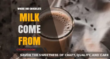 Unveiling the Sweet Origins: The Fascinating History of Chocolate Milk