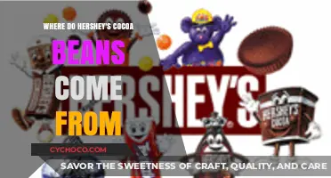 Unveiling Hershey's Cocoa Bean Origins: A Journey from Farm to Chocolate