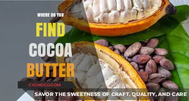 Discovering Cocoa Butter: Natural Sources and Extraction Methods Explained