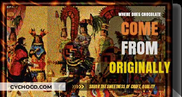 Unveiling the Ancient Origins of Chocolate: A Delicious Journey