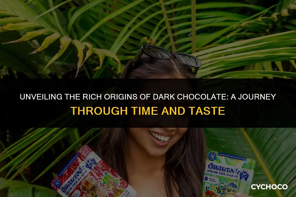 where does dark chocolate come from