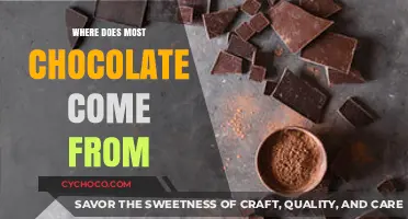 Unveiling the Sweet Origins: Where Does Most Chocolate Come From?