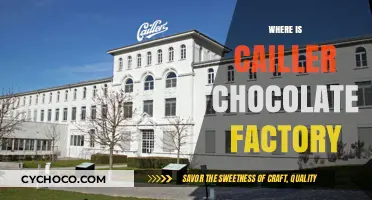 Exploring the Sweet Origins: A Journey to Cailler Chocolate Factory