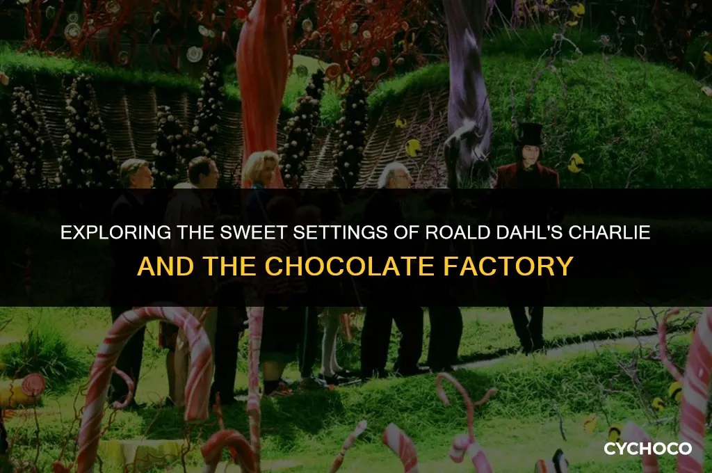 where is charlie chocolate factory set