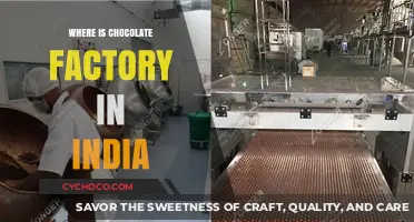 Exploring India's Sweet Spots: Where Chocolate Magic Happens
