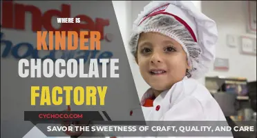 Exploring the Sweet Origins: Where is the Kinder Chocolate Factory?