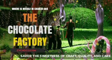 Decoding the Mystery: Noodle's Role in Charlie and the Chocolate Factory