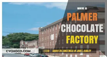 Discovering the Sweet Legacy of Palmer Chocolate Factory