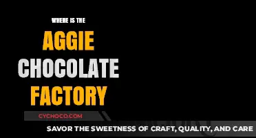 Discovering the Sweet Secrets: Where is the Aggie Chocolate Factory?