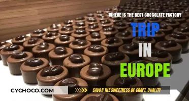 Discover Europe's Sweetest Secret: The Ultimate Chocolate Factory Trip Guide